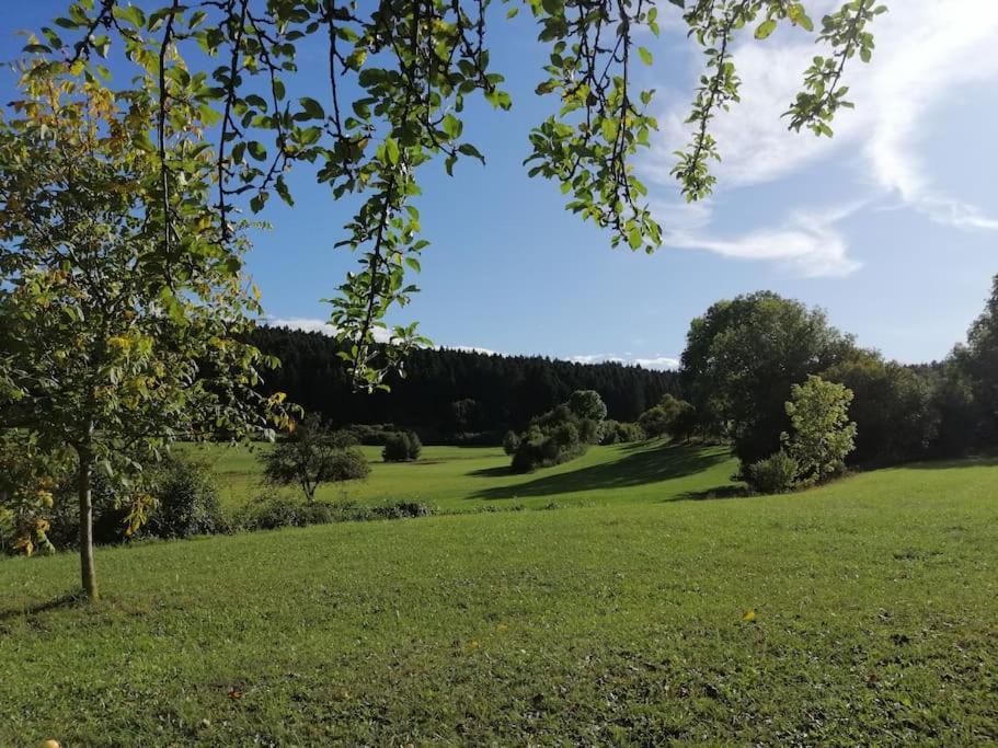 Moderne Ferienwohnung - Neu Renoviert - Ruhige Lage Waldachtal Esterno foto